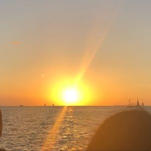 Meet your Posher, Frankie